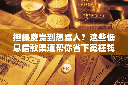 北京担保费贵到想骂人？这些低息借款渠道帮你省下冤枉钱