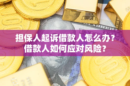北京担保人起诉借款人怎么办？借款人如何应对风险？