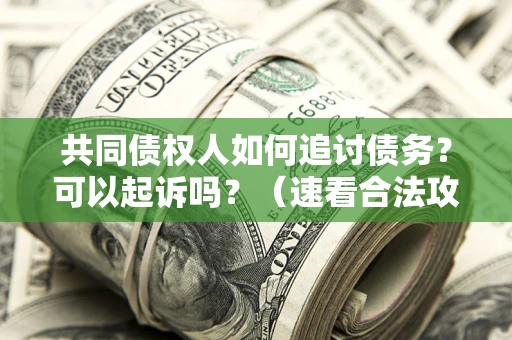 北京共同债权人如何追讨债务？可以起诉吗？（速看合法攻略）