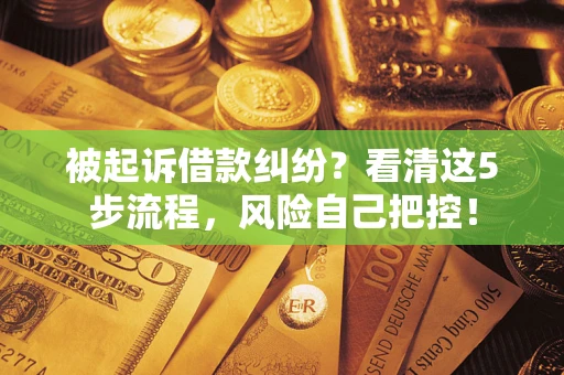 北京被起诉借款纠纷？看清这5步流程，风险自己把控！